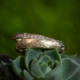 Memoire als Verlobungsring Gelbgold